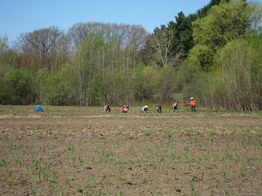 Planting