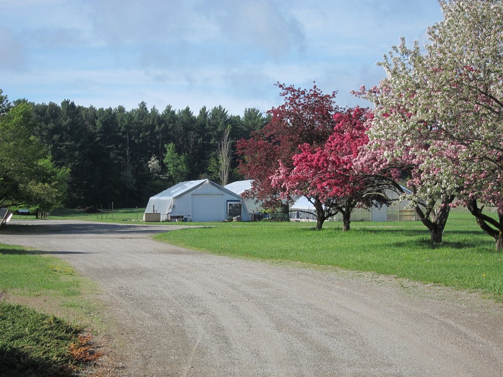 Greenhouses 