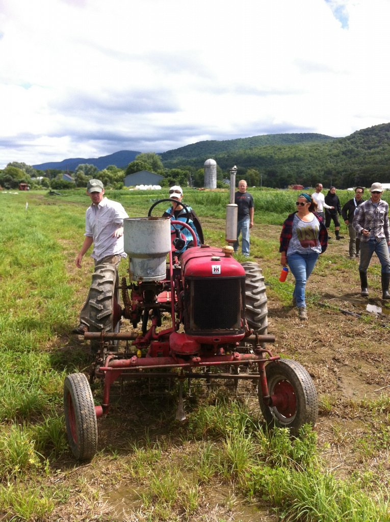 Farmall Cub